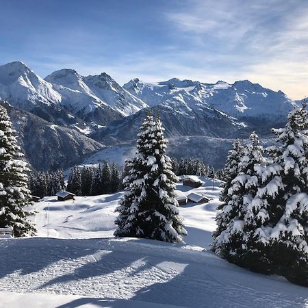 Hotel Alpsu Disentis Zewnętrze zdjęcie
